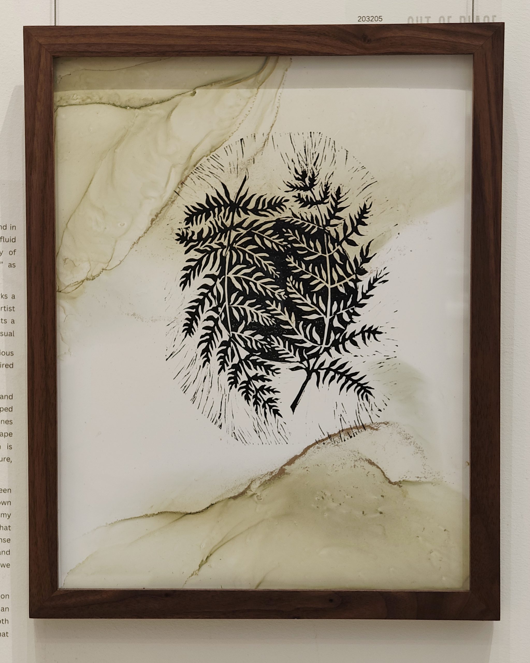 Ferns Through Moss - Image 2