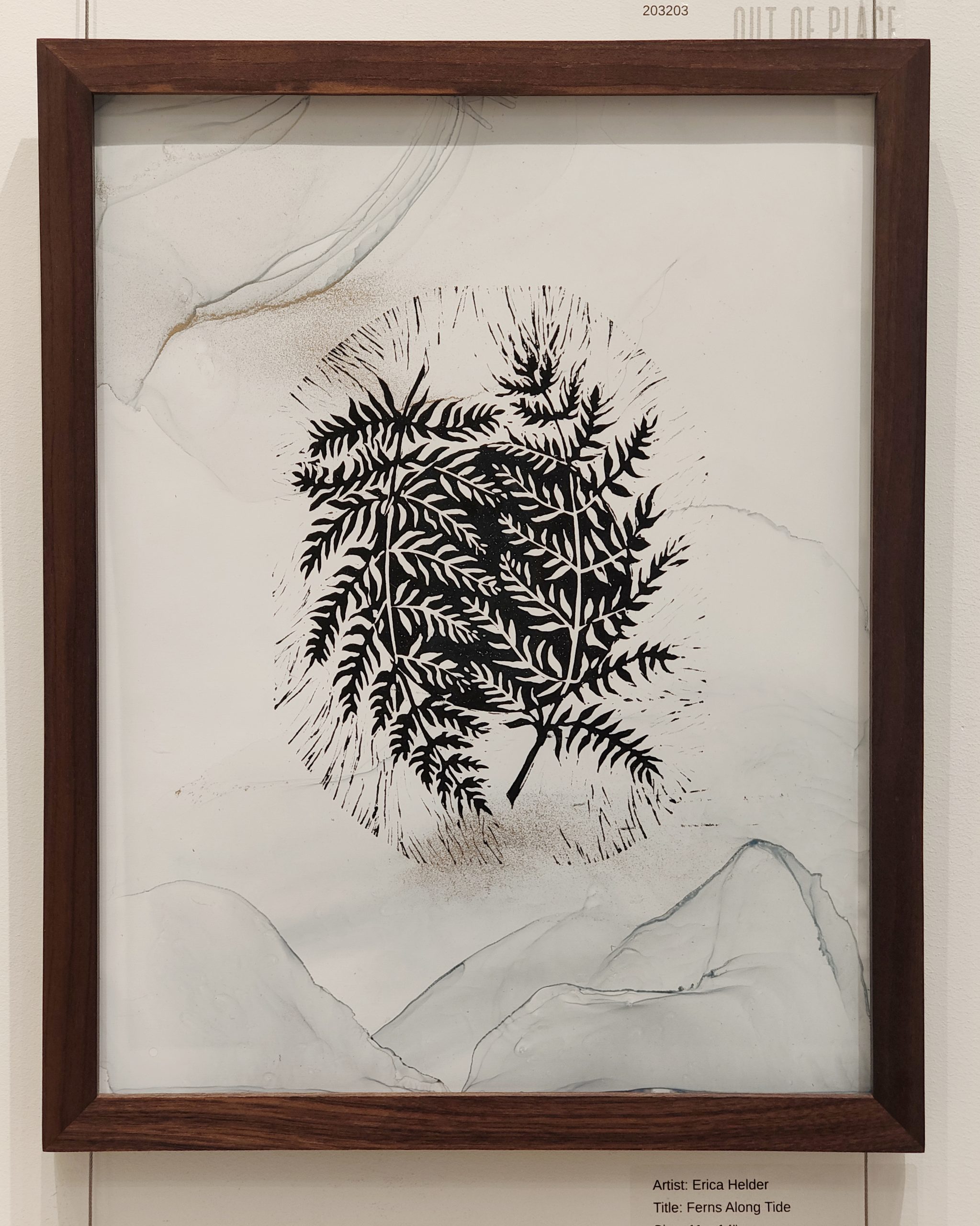 Ferns Along Tide - Image 2