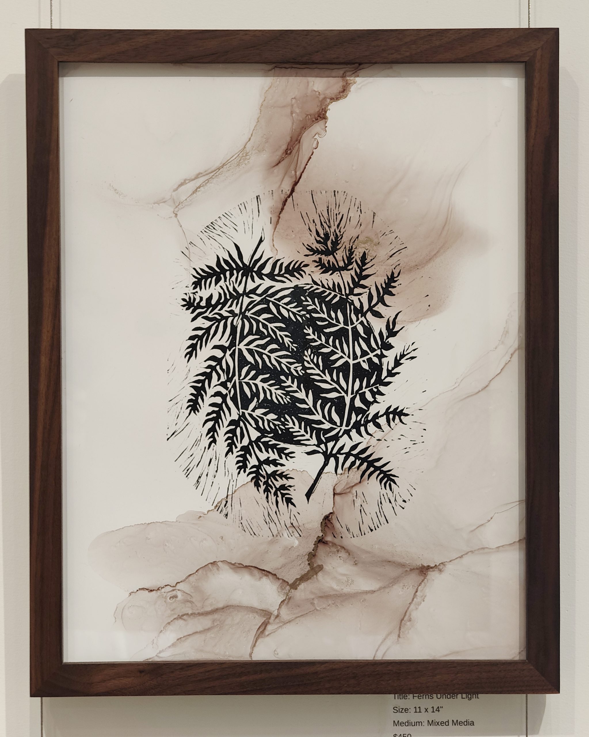 Ferns Under Light - Image 2